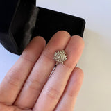 Silver Lotus Noseclip